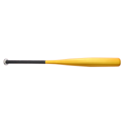 Baseball Bat
